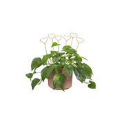 Decorative Heart Plant Stakes – Set of 6
