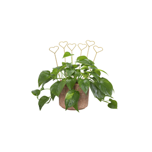 Decorative Heart Plant Stakes – Set of 6