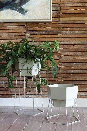 Cream Hexagon Plant Stand (2 Sizes Available)