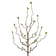 Artificial Lighted Branch with Timer - 30 Inch