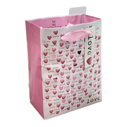 Mini Love and Hearts Gift Bag