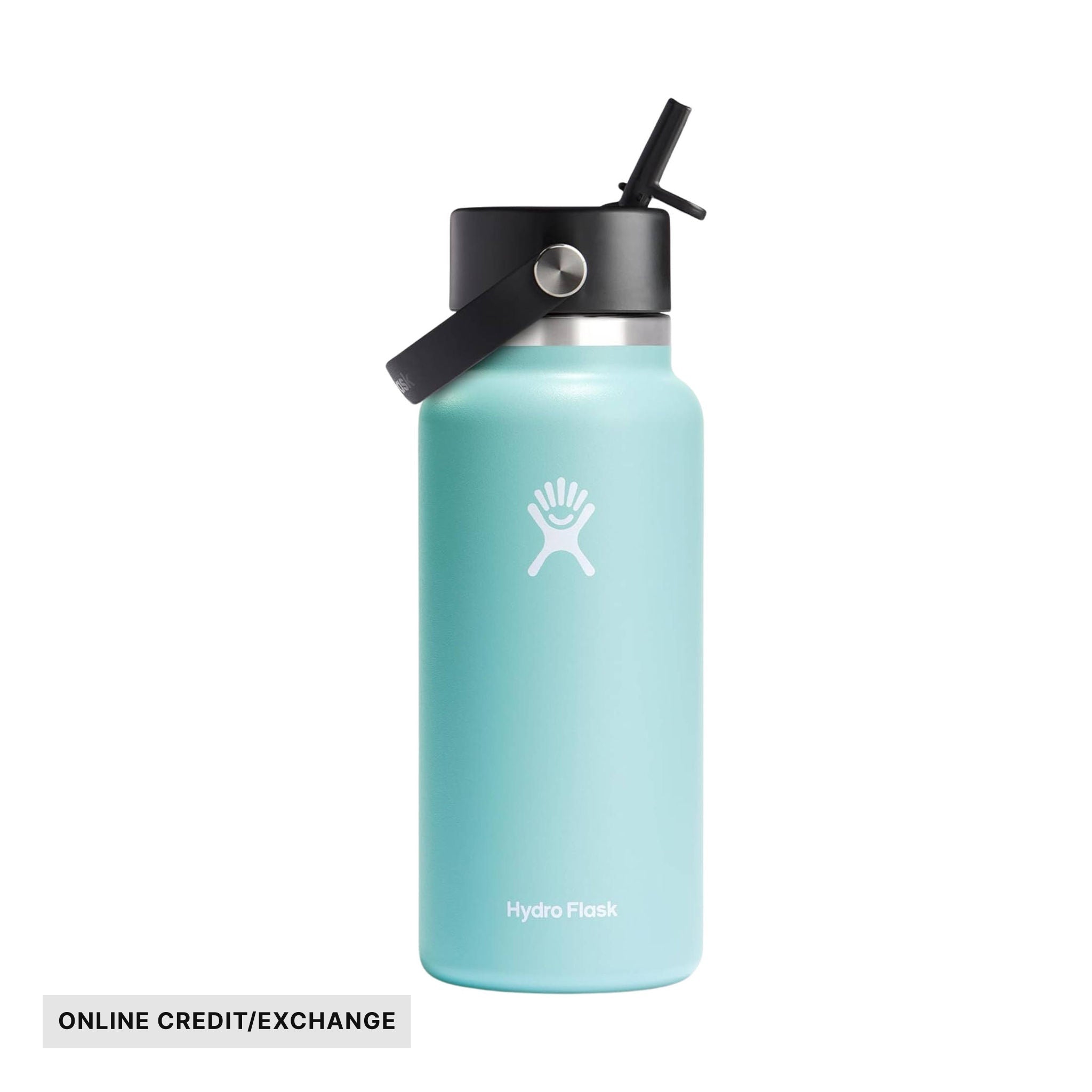 Hydro Flask 32 oz Wide Mouth With Flex Straw Cap - Dew