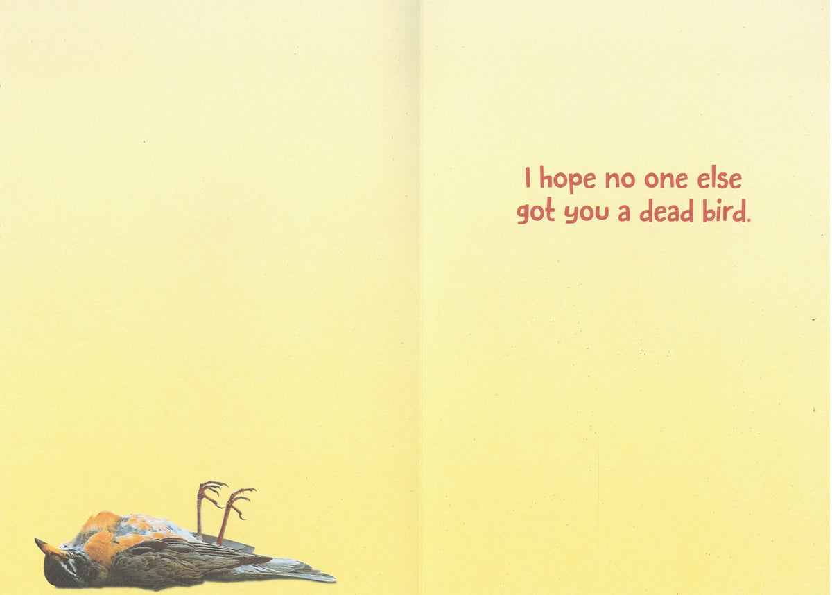 From The Cat - Birthday Card