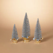 Silver Bottle Bursh Tree -
