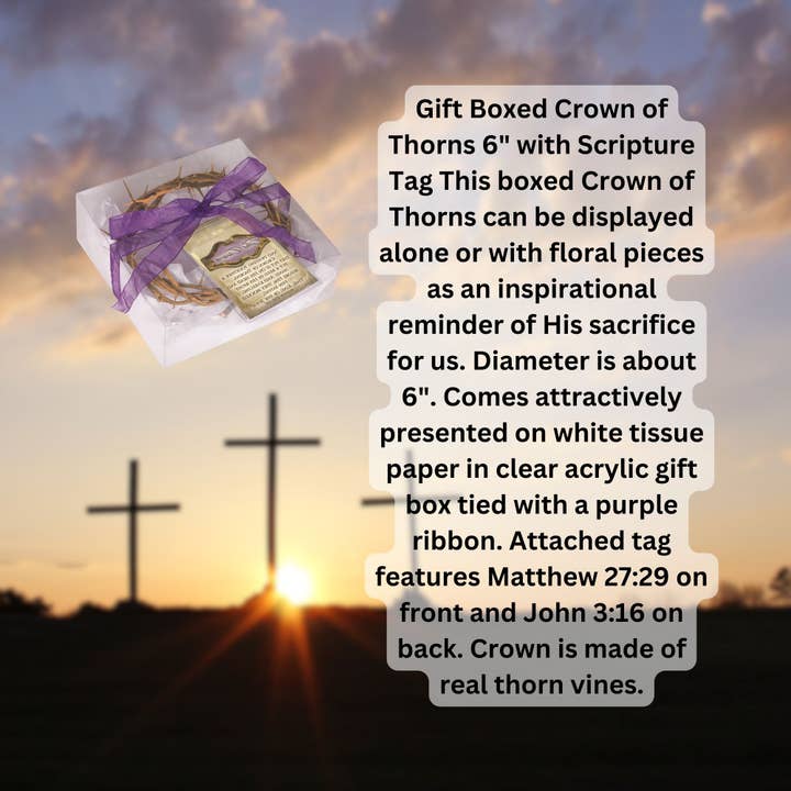 Gift Boxed Crown of Thorns With Scripture