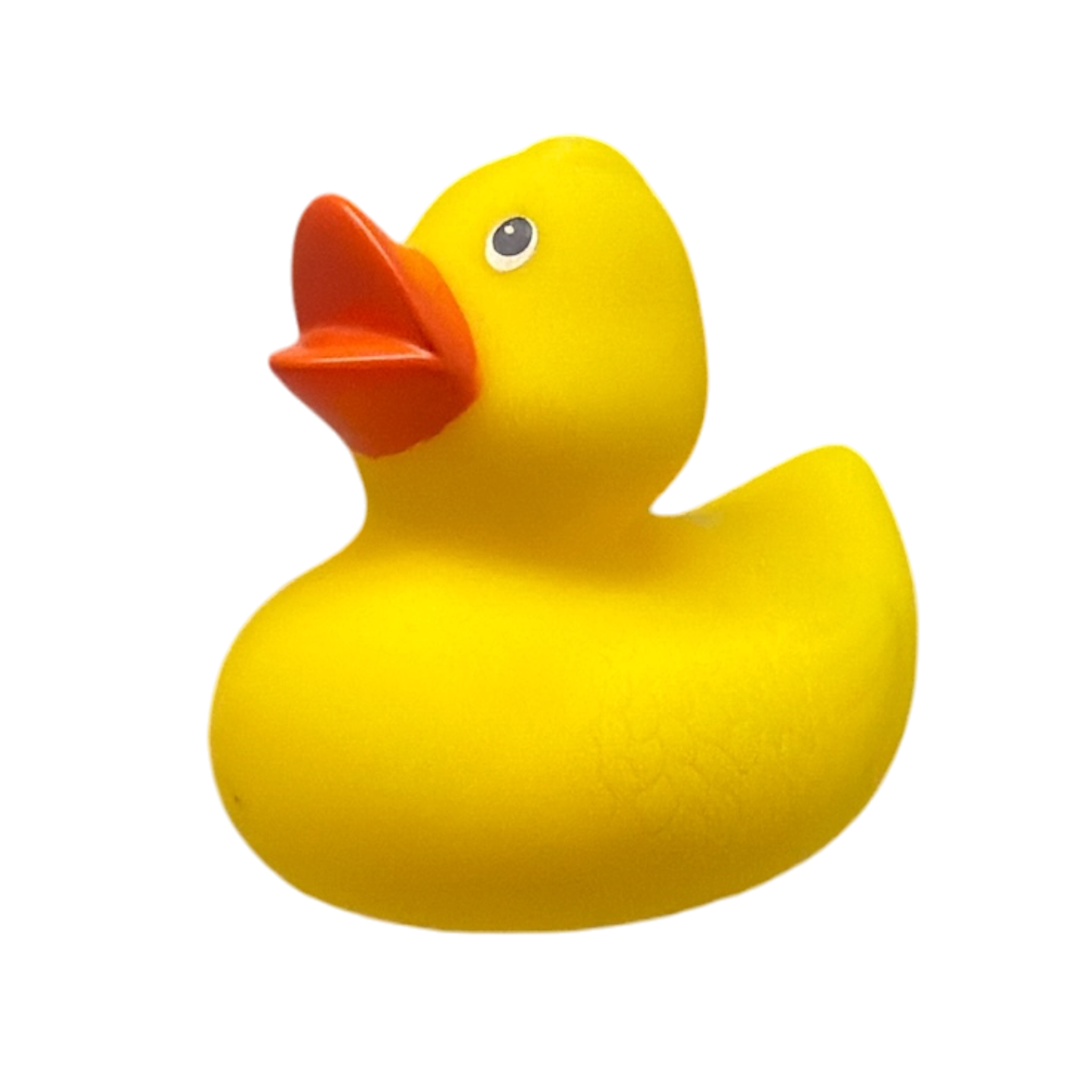 Classic Rubber Duck
