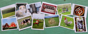 Greeting Cards, 10 Vermont greeting cards in each set - Farms & Farming