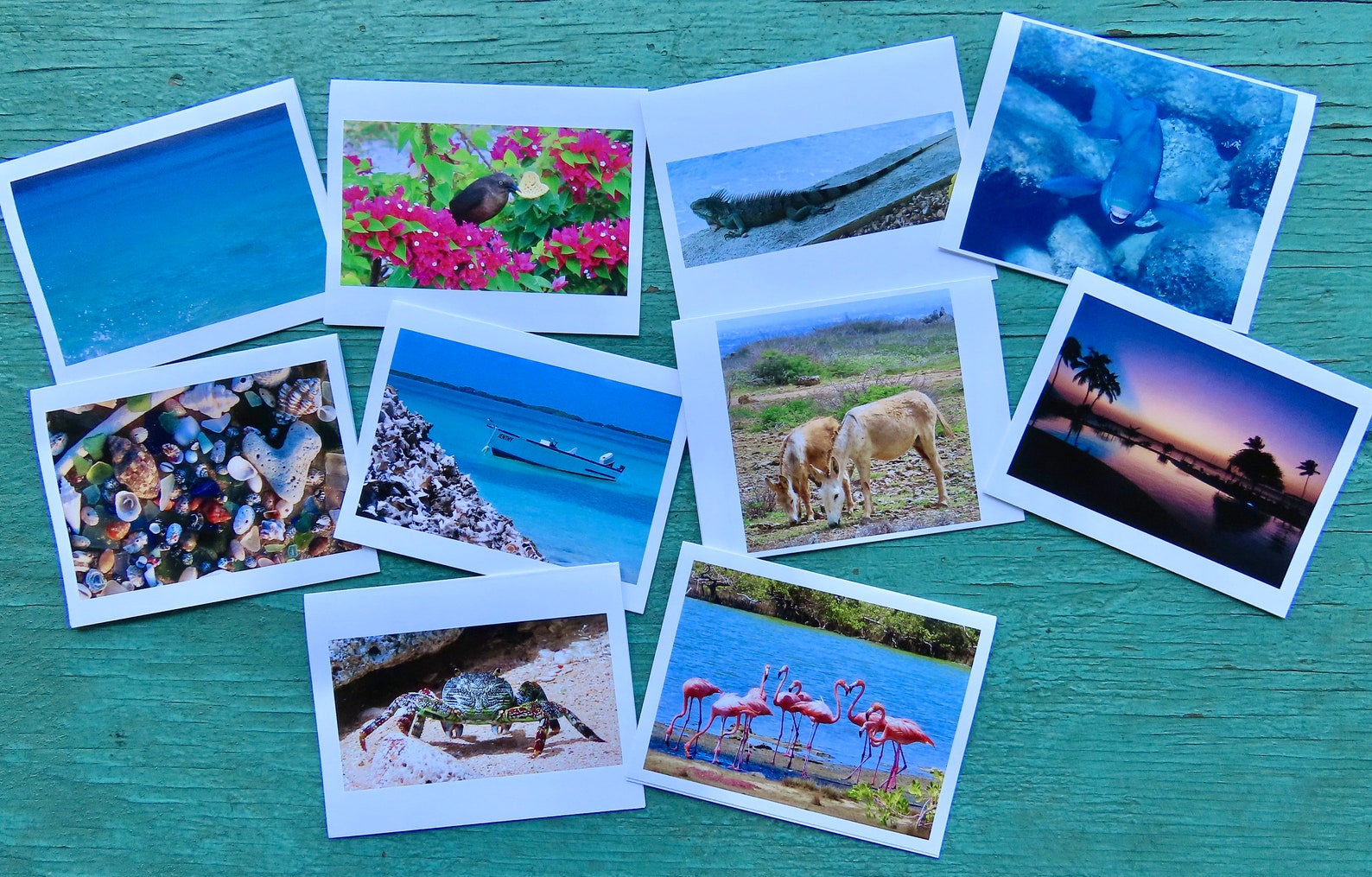 Greeting Cards, 10 Vermont greeting cards in each set - Bonaire