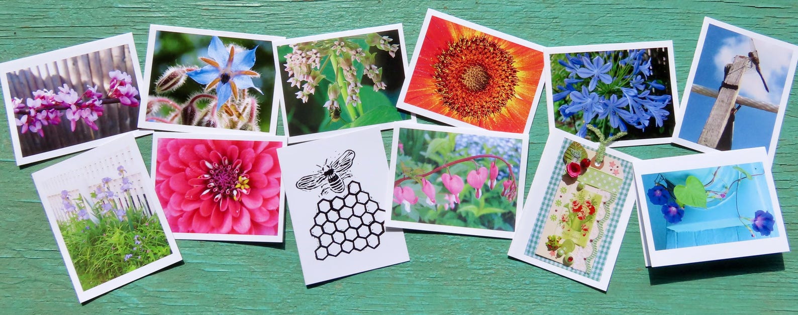 Greeting Cards, 10 Vermont greeting cards in each set - Flowers & Gardens