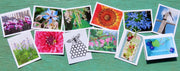 Greeting Cards, 10 Vermont greeting cards in each set - Flowers & Gardens