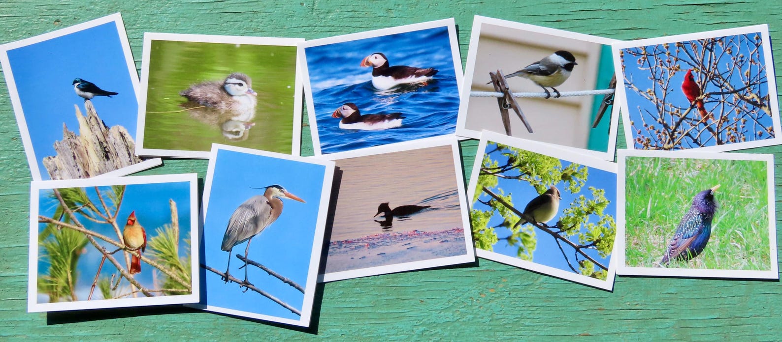 Greeting Cards, 10 Vermont greeting cards in each set - Birds
