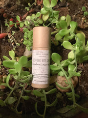 Bug Bite Salve- All Natural Soothing Salve- Eco Paperboard Tube - 1/2 Ounce by Belle Savon Vermont