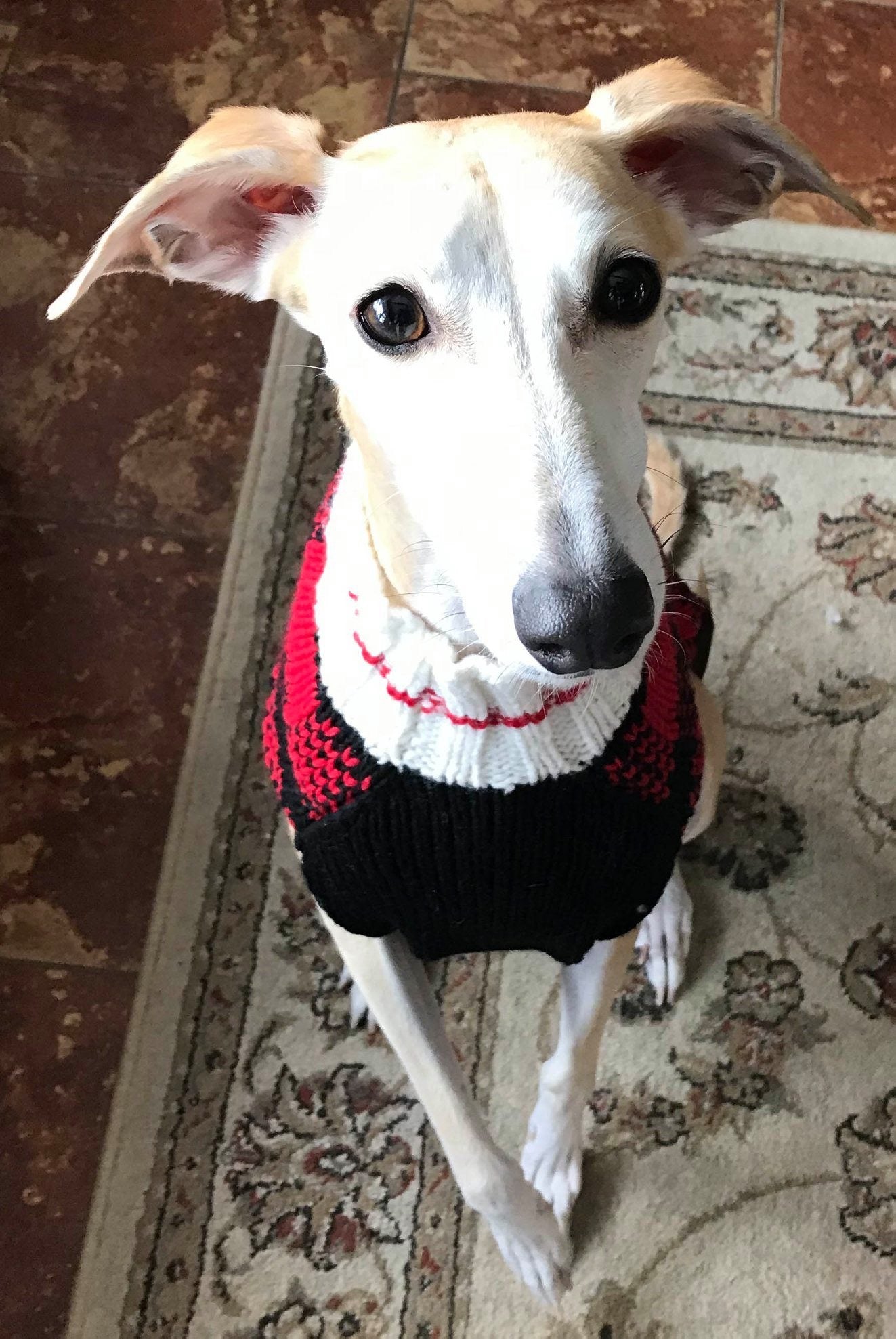 Chilly Dog Sweaters Buffalo Plaid Sweater