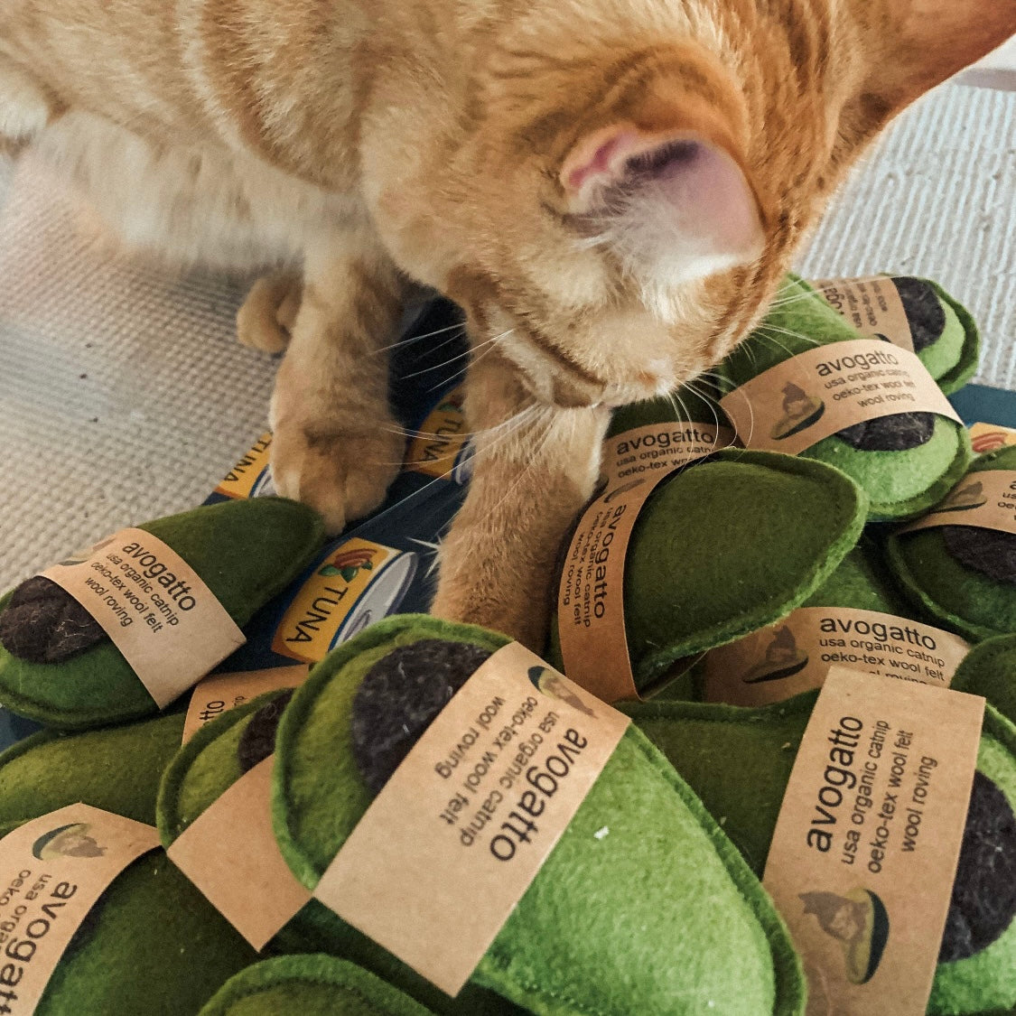 Ciao Gatto Avogatto Catnip Toy by Houndstooth