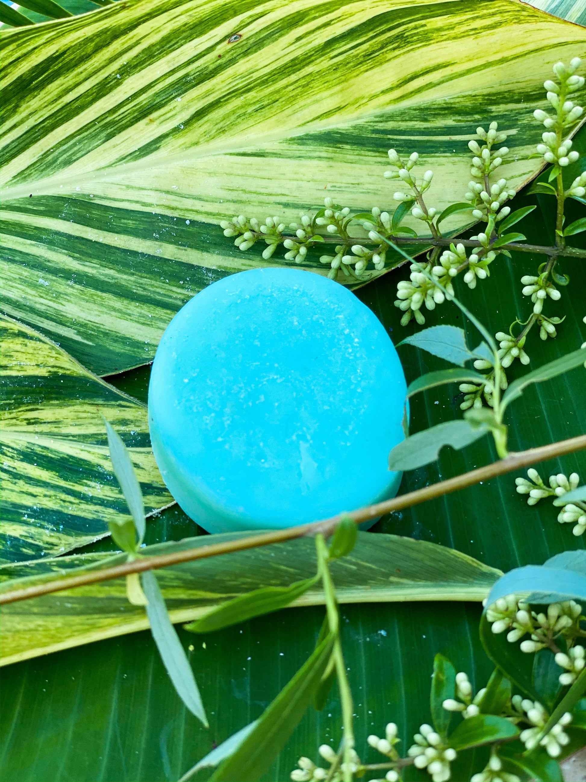 Raindrops Conditioner Bar by SidePony Boutique