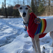 Chilly Dog Sweaters Vintage Ski Hoodie