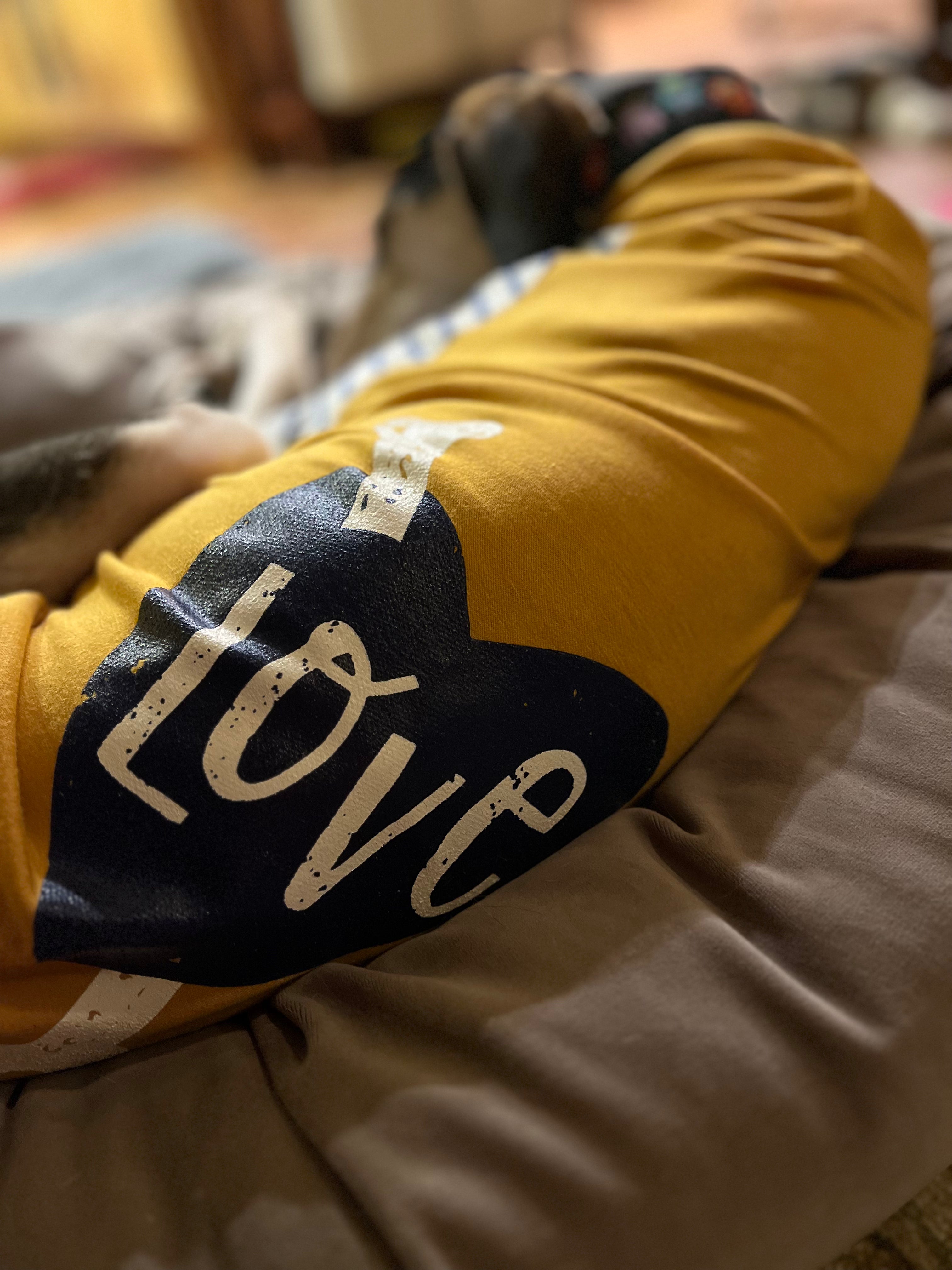 Long Dog Clothing Lincoln Raglan Tee