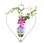 Heart Hanging Vase