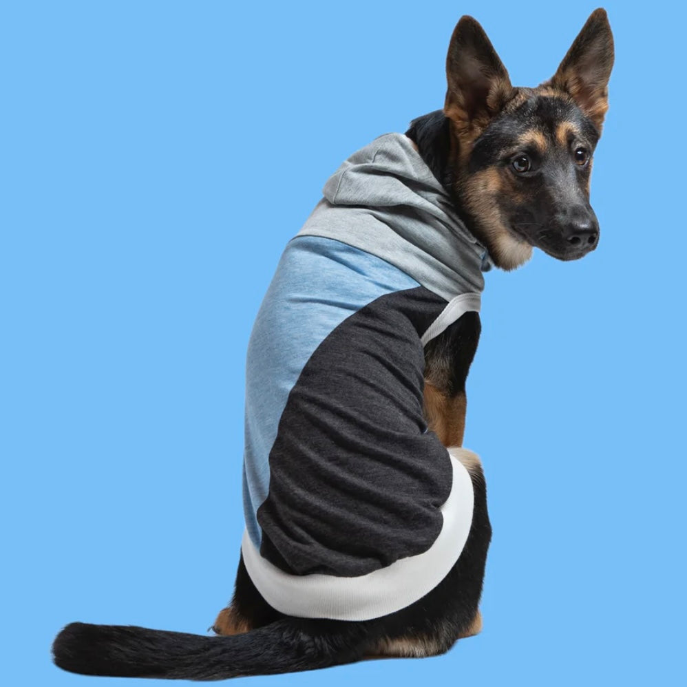 Long Dog Clothing Skater Hoodie