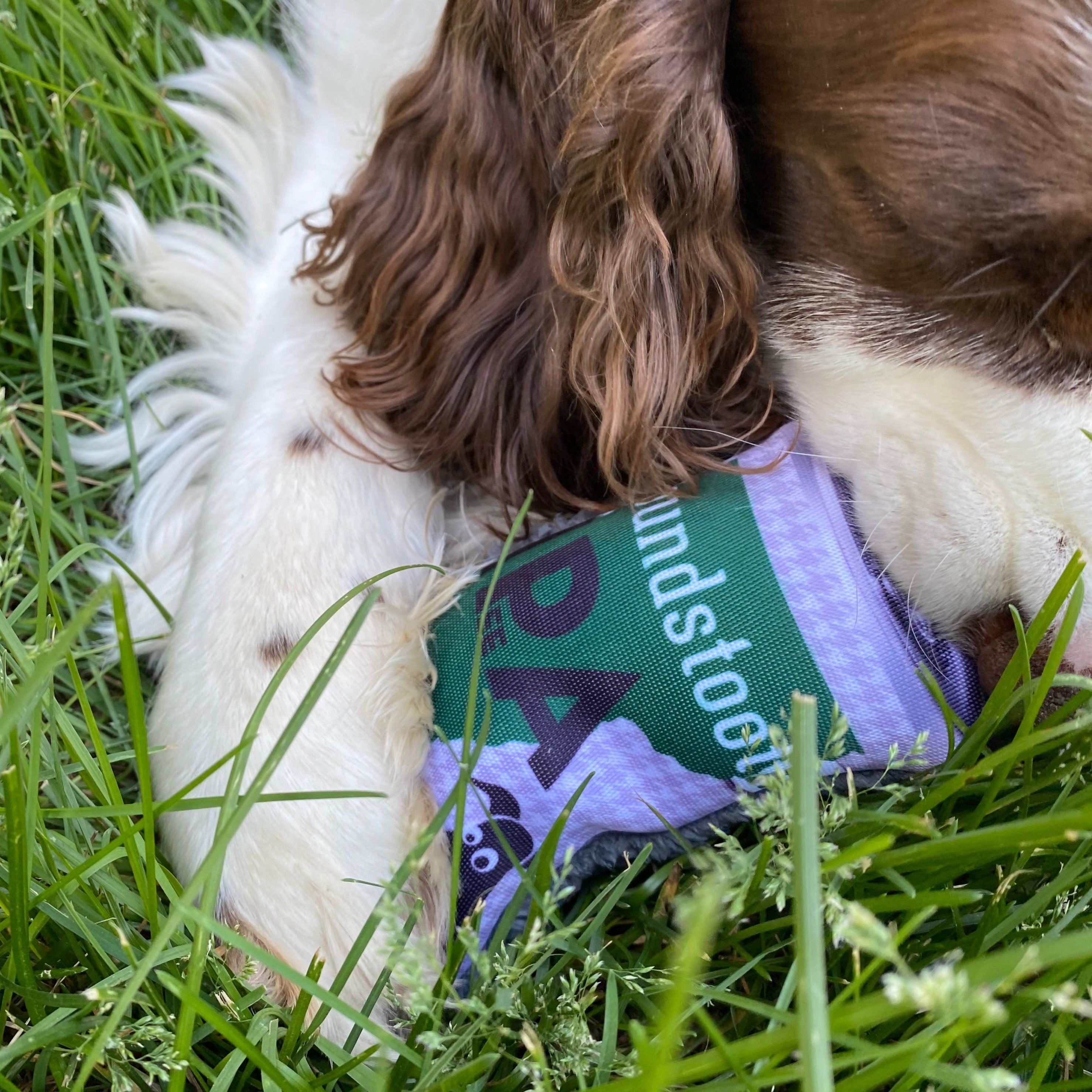 Houndstooth Duraplush IPA