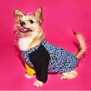 Ware of the Dog Abstract Tee Shirt