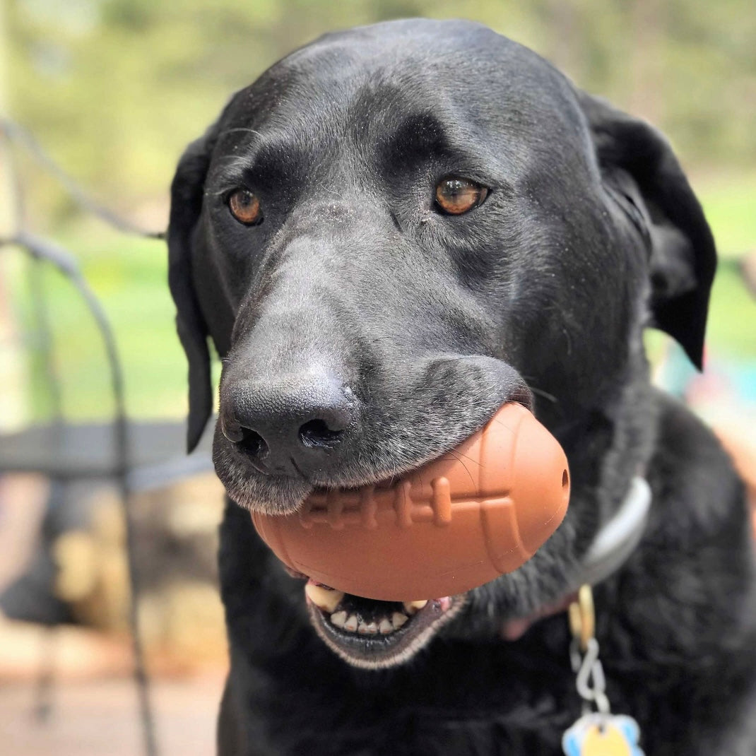 SodaPup MKB Football