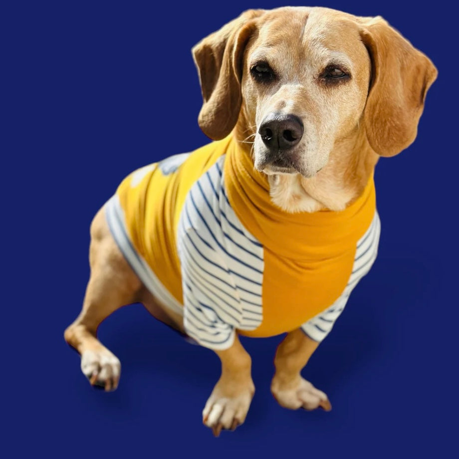 Long Dog Clothing Lincoln Raglan Tee