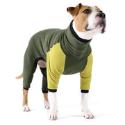 GoldPaw Signature Suit/ Onesie