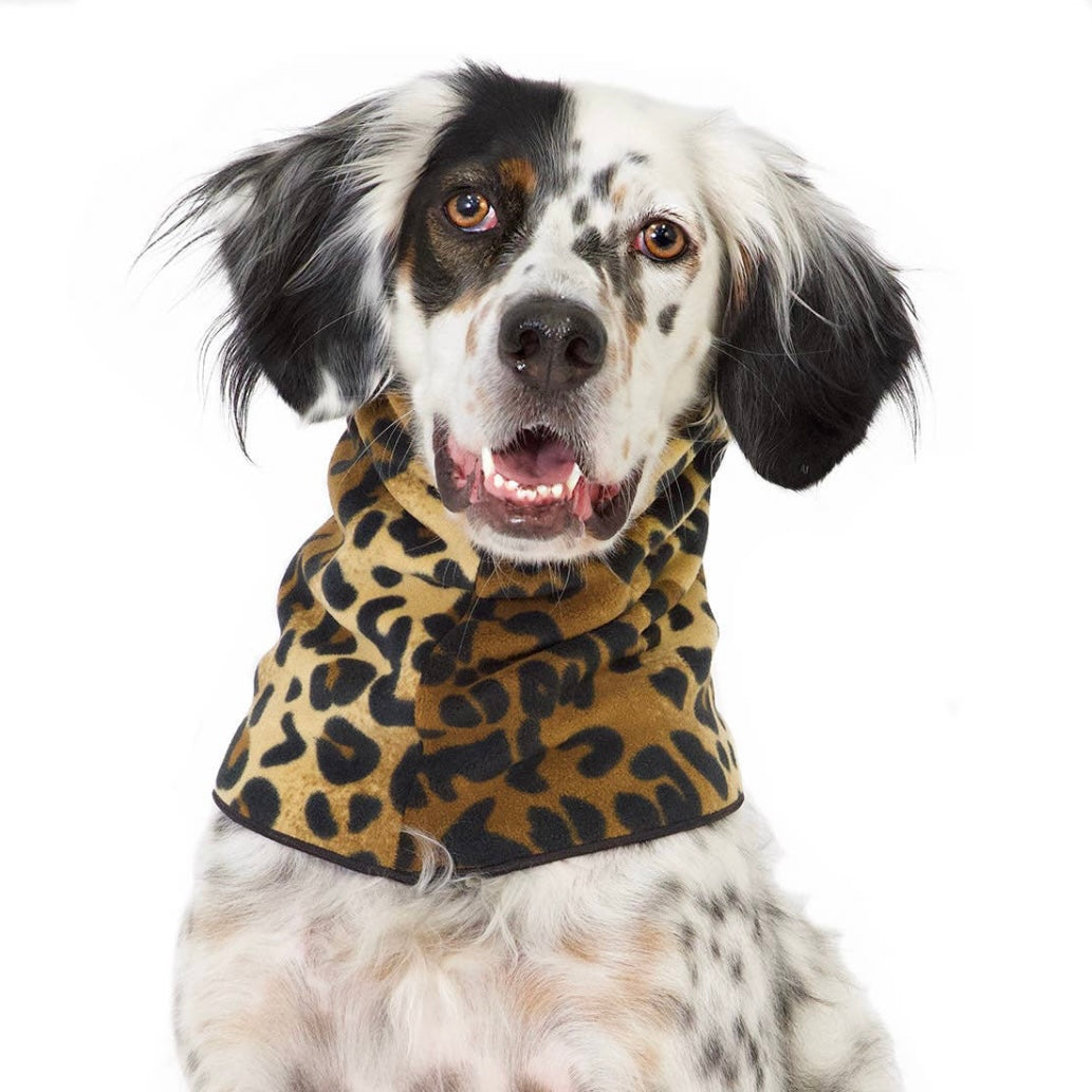 GoldPaw Snood - Fleece version