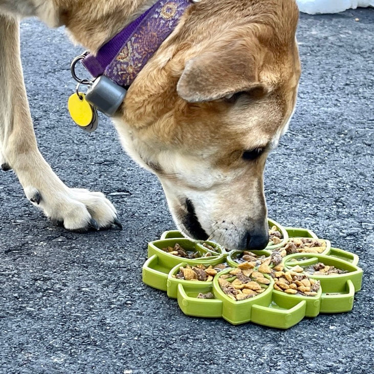 SodaPup Mandala Design eTray Enrichment Tray