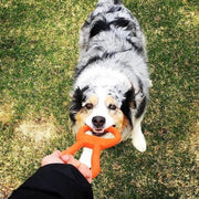 SodaPup Pop Top Tug Toy by Houndstooth