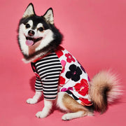 Ware of the Dog Floral Tee Shirt