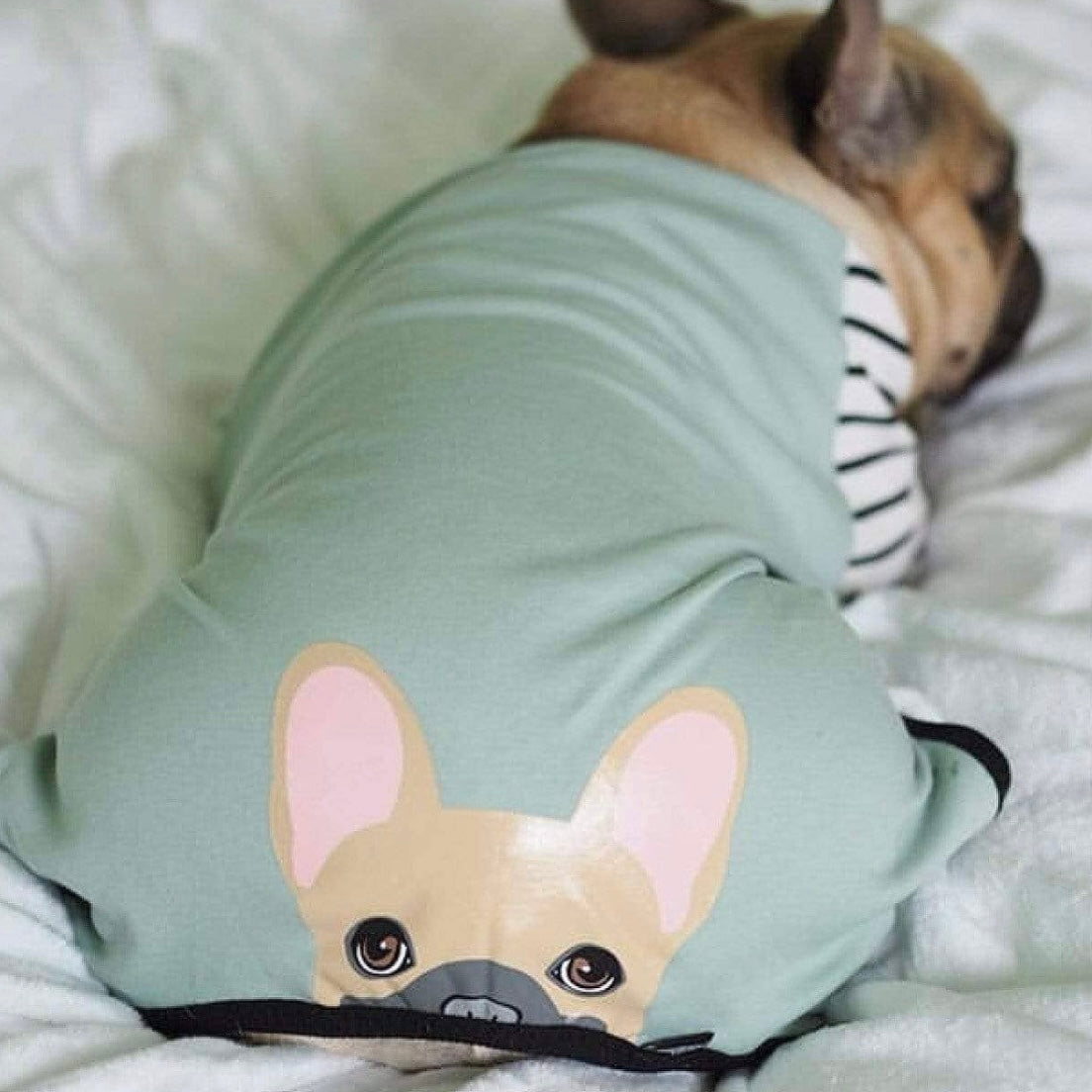 Frenchiestore Frenchie Face Pajamas