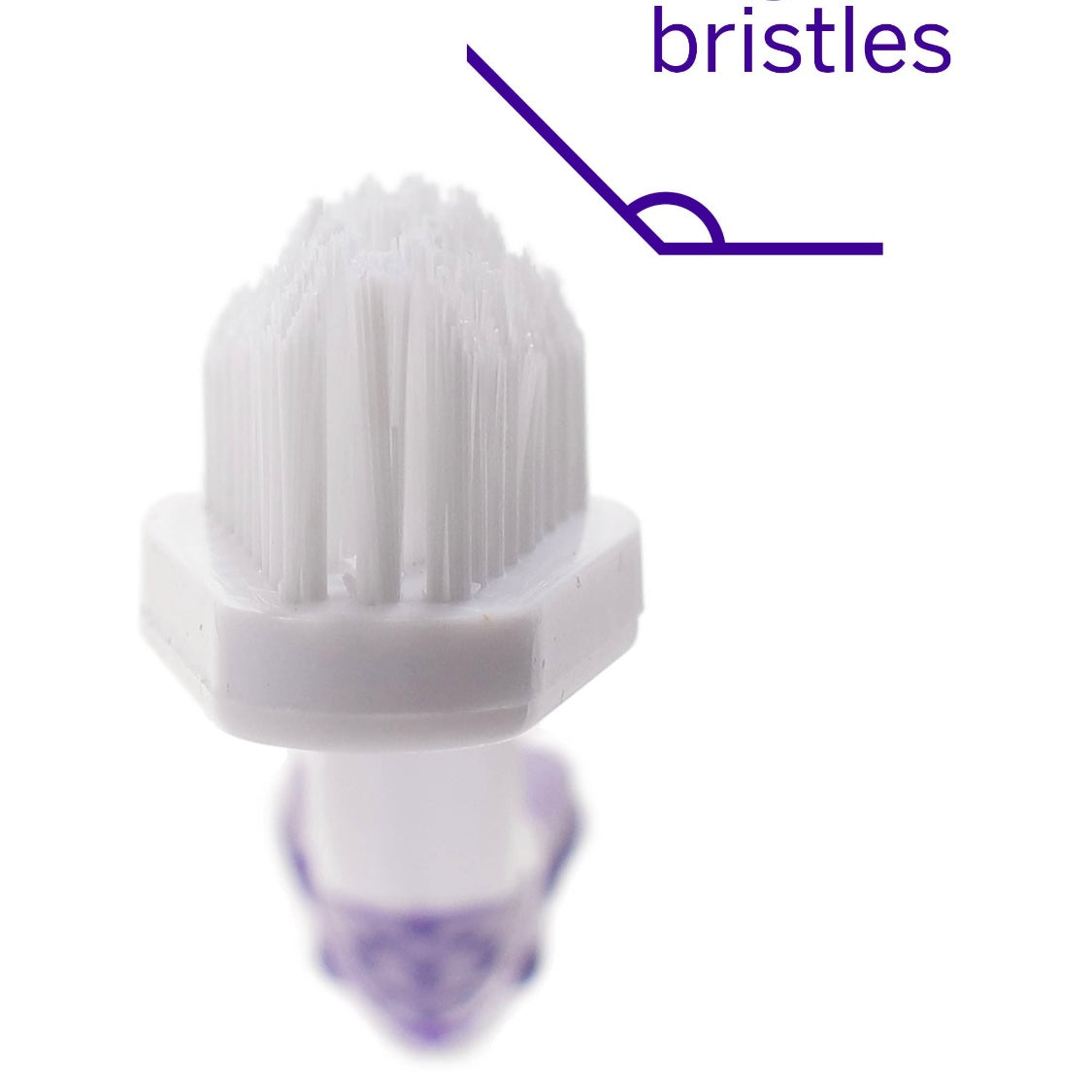 Petsmile Professional Pet Dual Head Toothbrush by Houndstooth