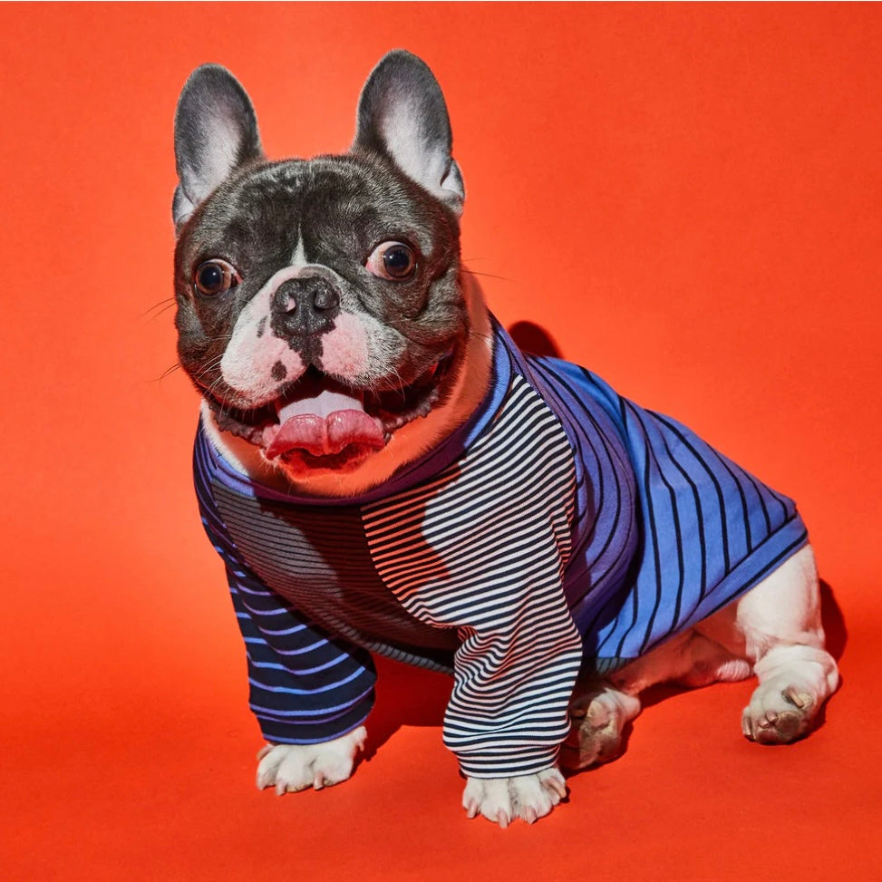 Ware of the Dog Striped Tee Shirt