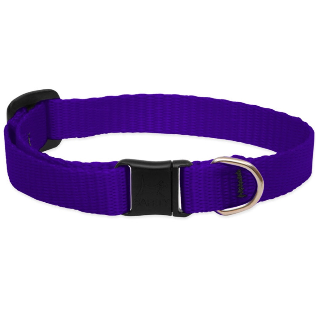 Lupine Cat Collar (no bell)