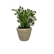 Faux  Fern in Cement Pot