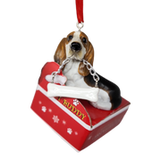 Basset Hound with Bone Ornament