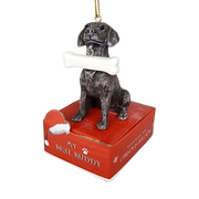German Shorthaired Pointer with Bone Ornament