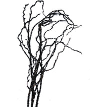 Black Glitter Branch