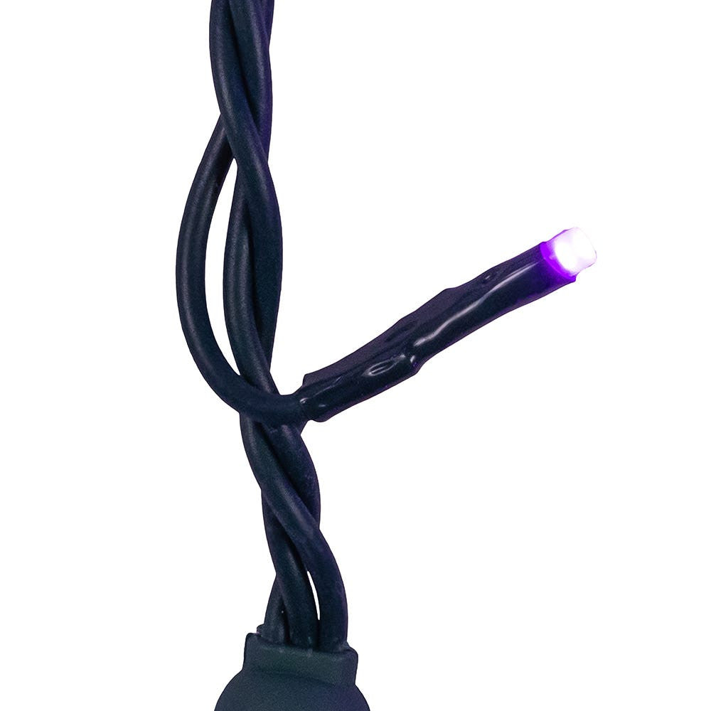 Jingle Bright 100 LED Light Set - Purple - Green Wire