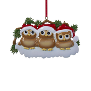 Owl Family of 3 Ornament For Personalization