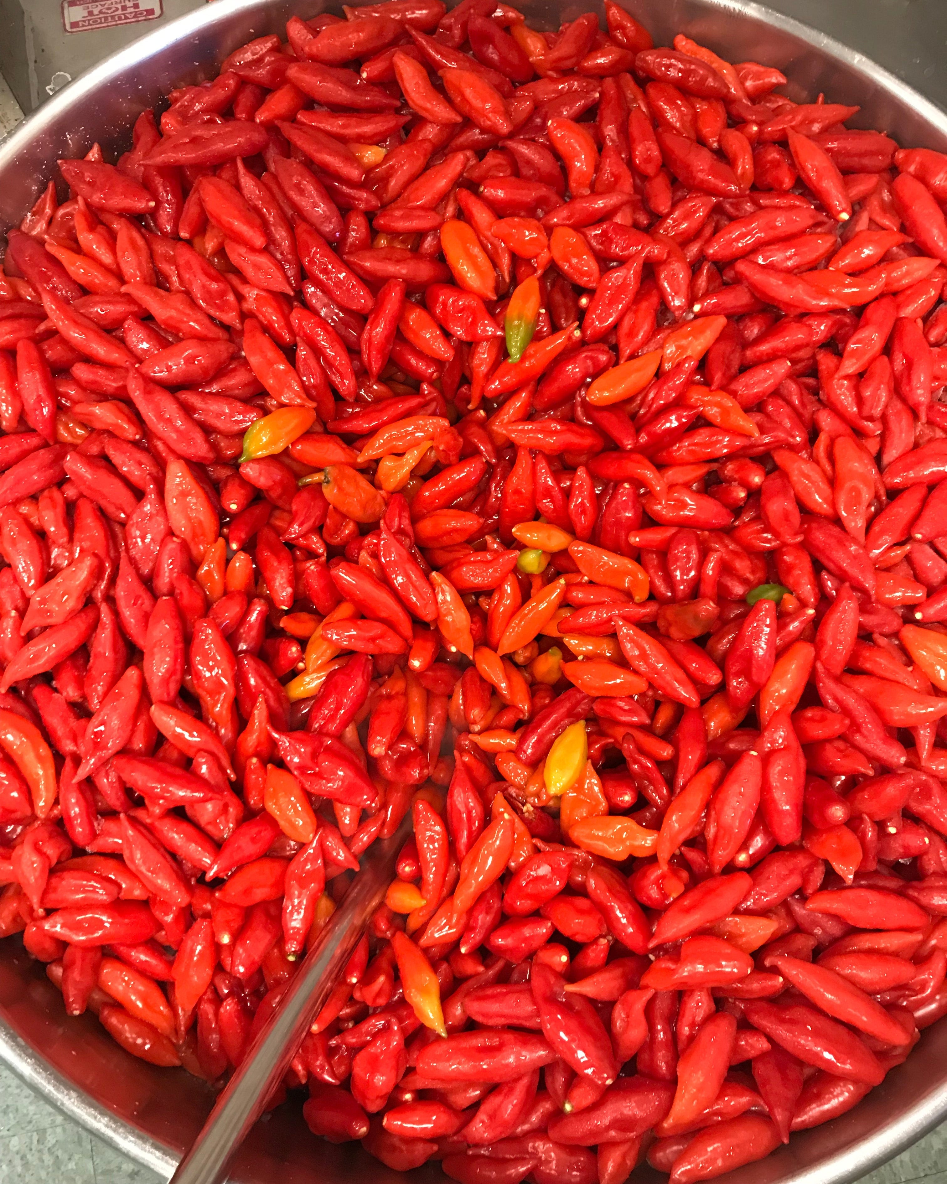 Red Ghost Reaper Hot Sauce by Butterfly Bakery of Vermont