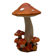 Cheerful Orange Harvest Mushrooms