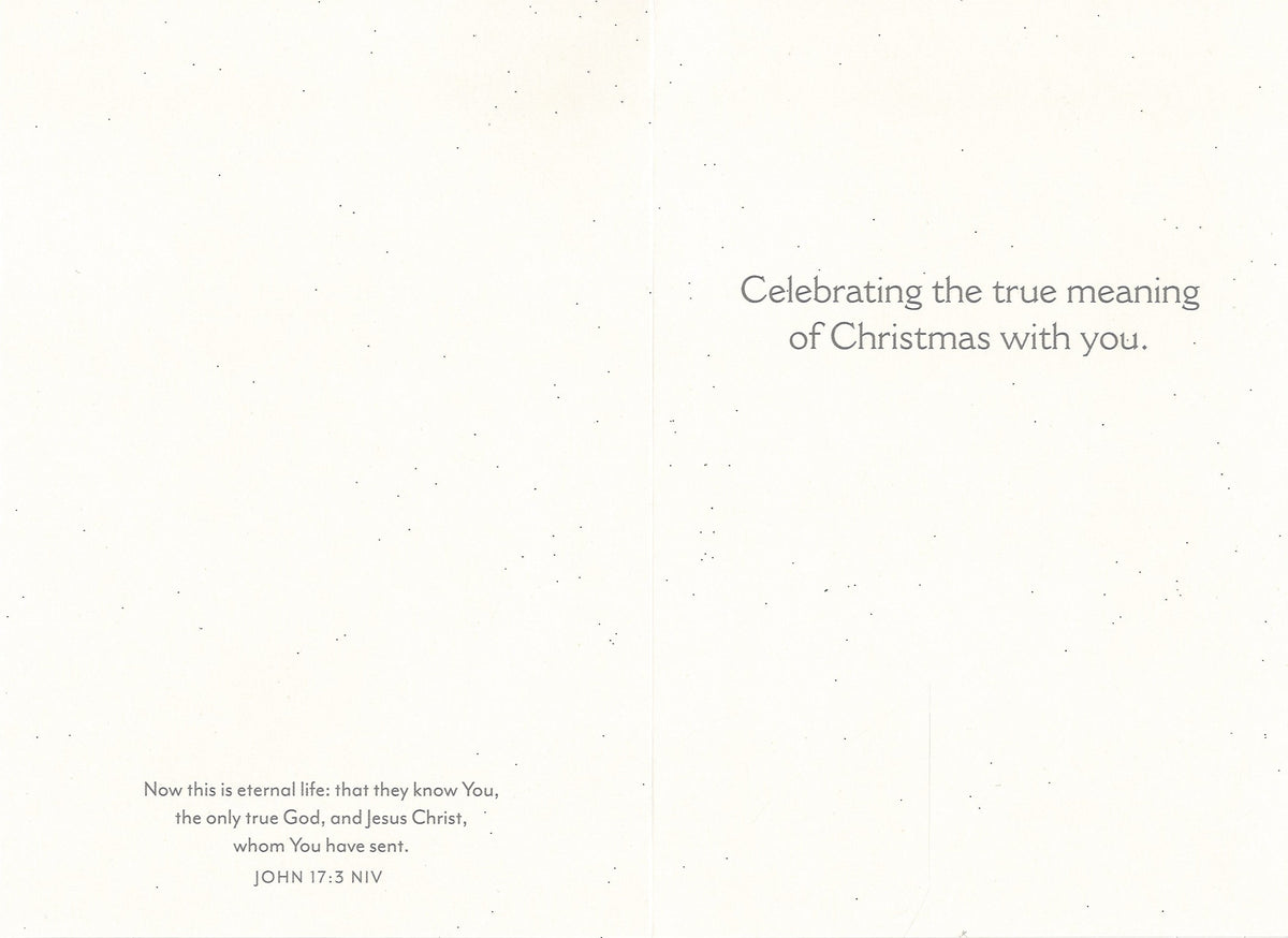 The Only Thing That Matters: A Christmas Card of Divine Truth