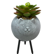Faux 2 Tone Succulent In Planter - Cat