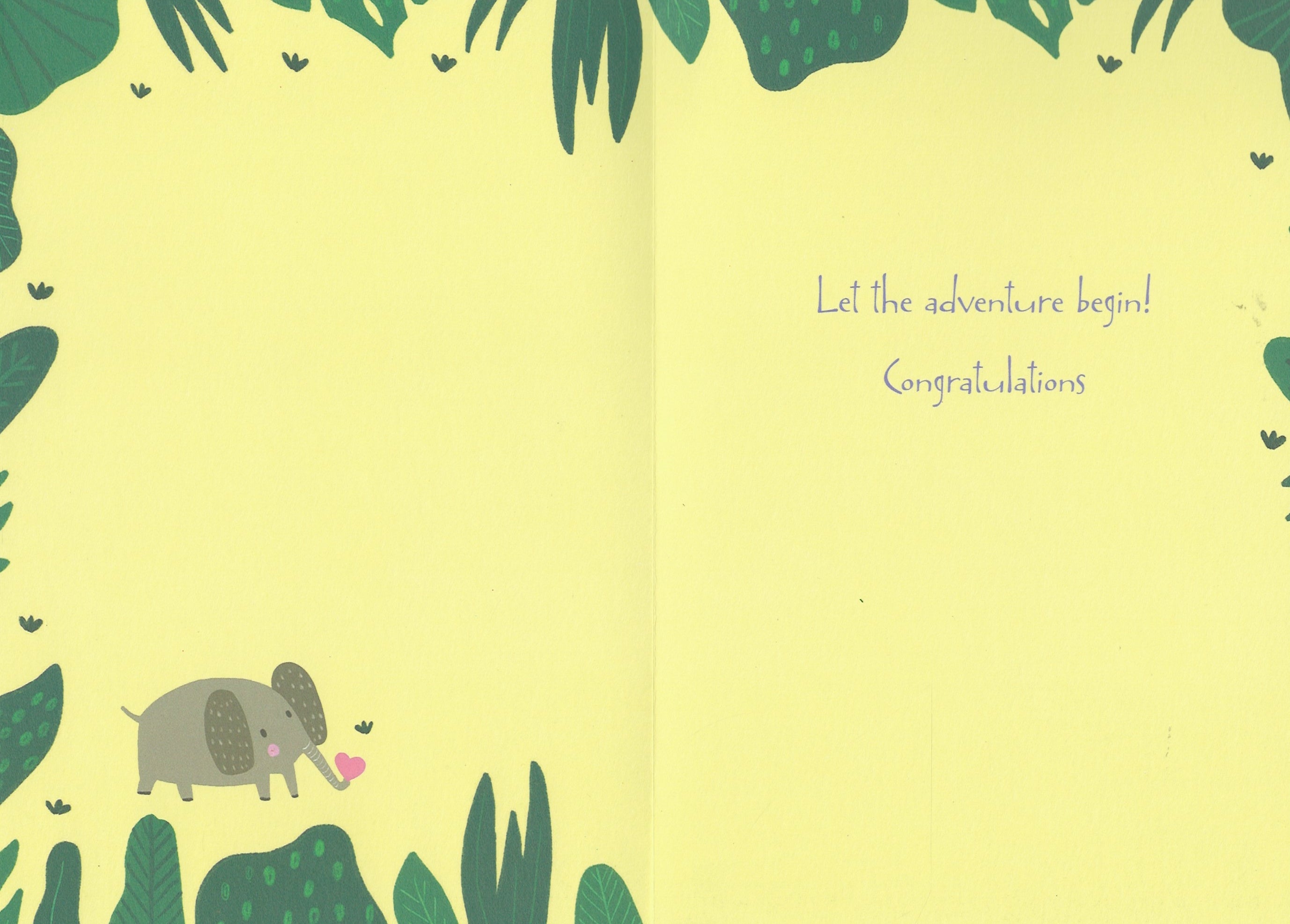 Welcome Little Friend   - New Baby Card