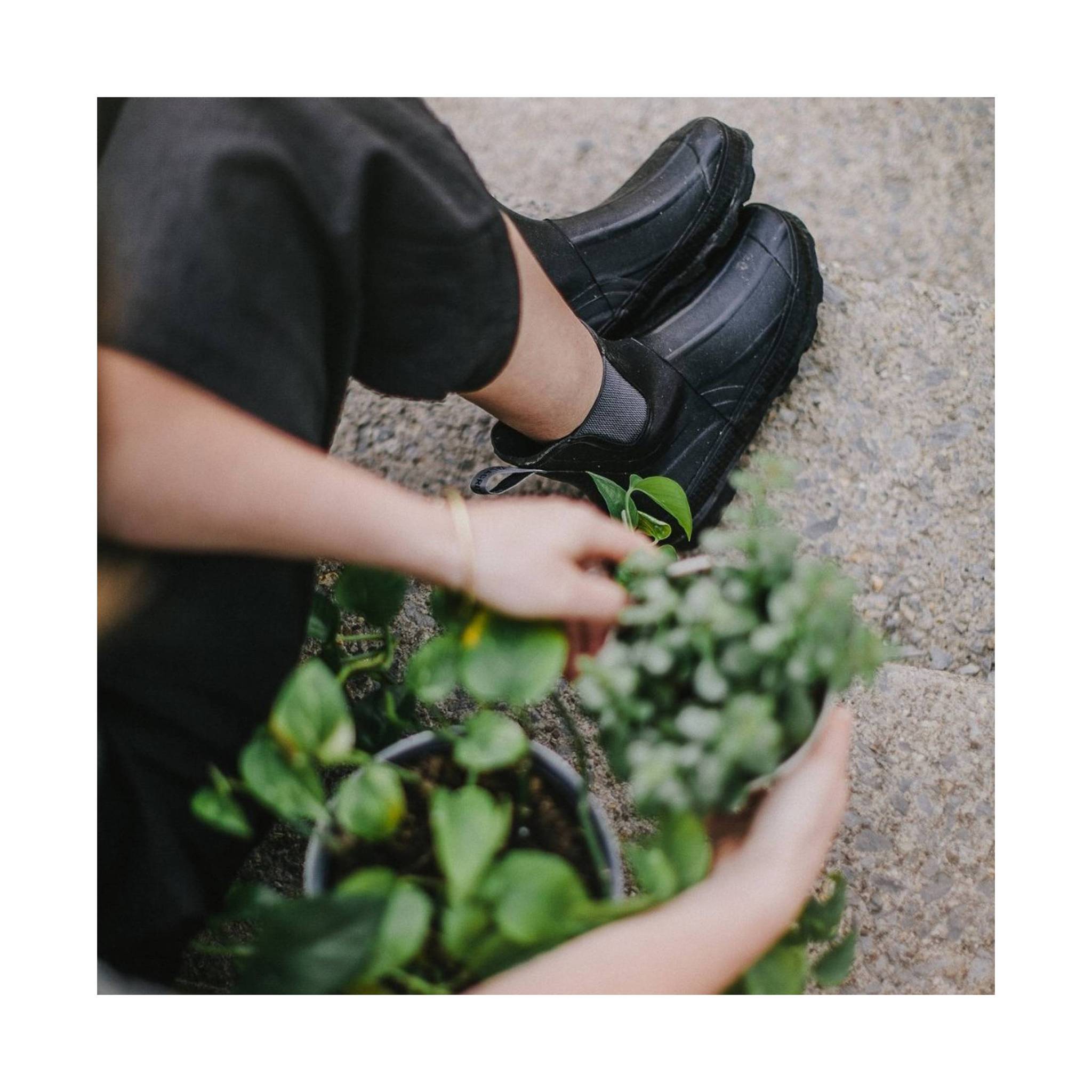 Lacrosse Women's Grange Chelsea 5 inch Boots - Black by Lenny's Shoe & Apparel