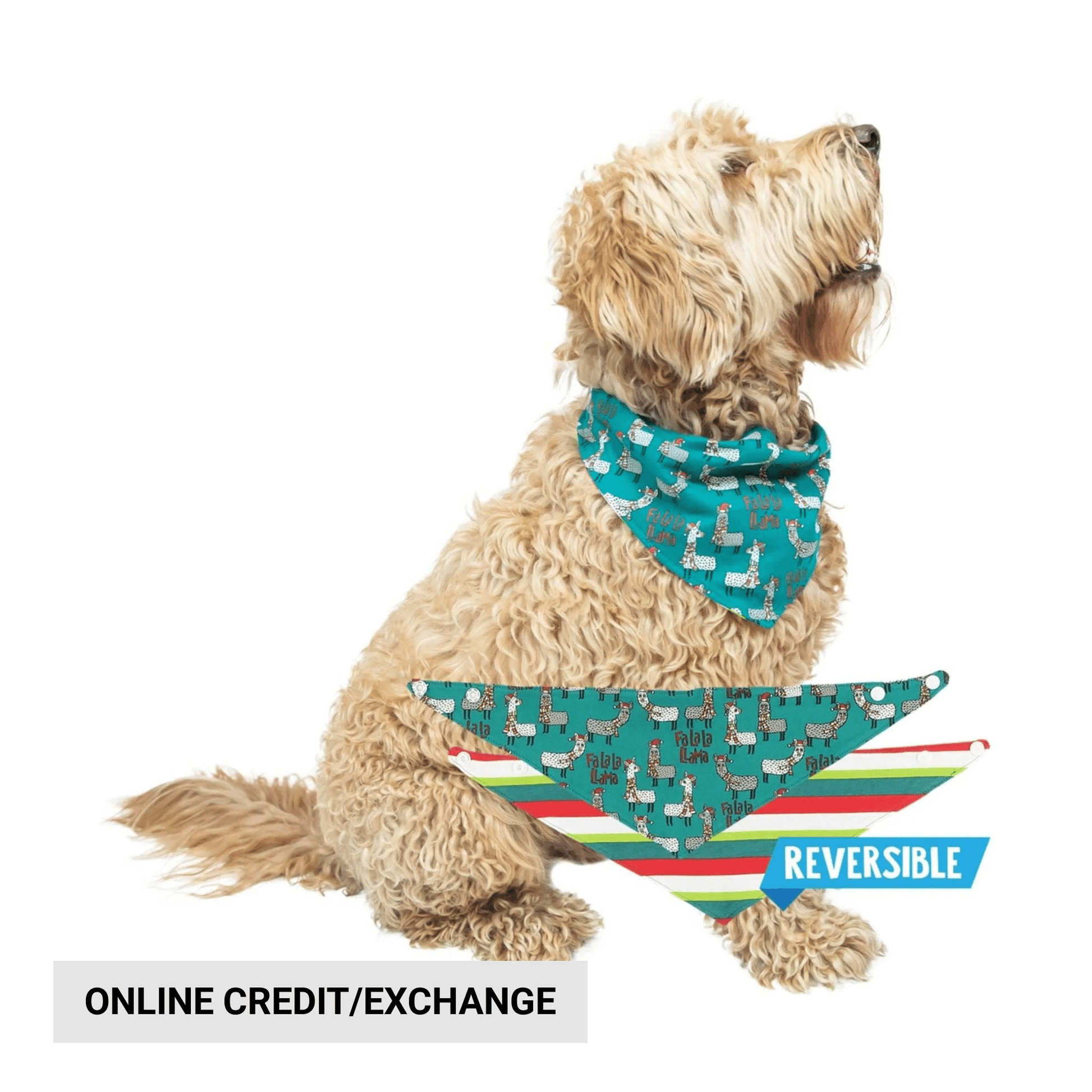 Lazy One Fa La La Llama Dog Bandana - Blue/ White/ Red/ Green by Lenny's Shoe & Apparel