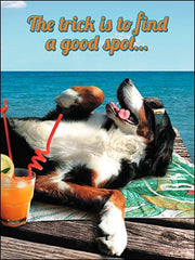Birthday Card -Let Everyone Else Do The Fetching